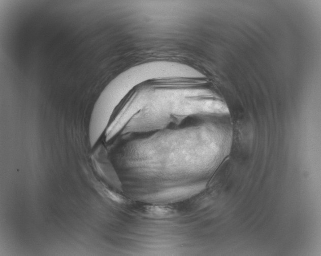 X0000068850380200606021741