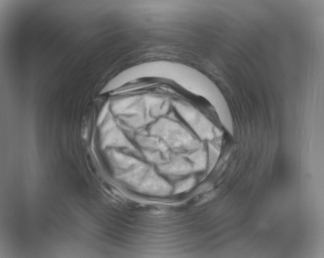 X0000068850382200606021741