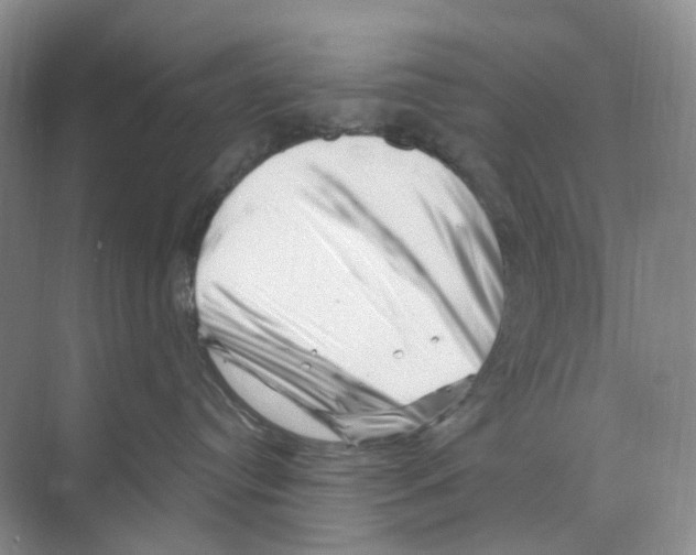 X0000068850384200606021741