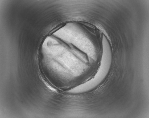 X0000068850389200606021740