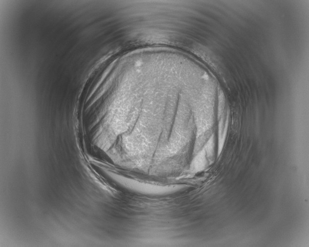 X0000068850390200606021740