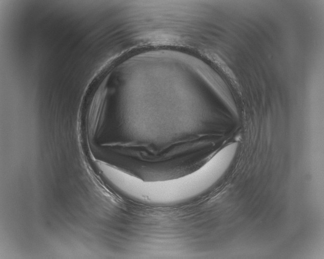 X0000068850391200606021740