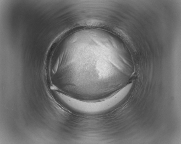 X0000068850392200606021740