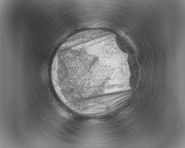 X0000068850394200606021740