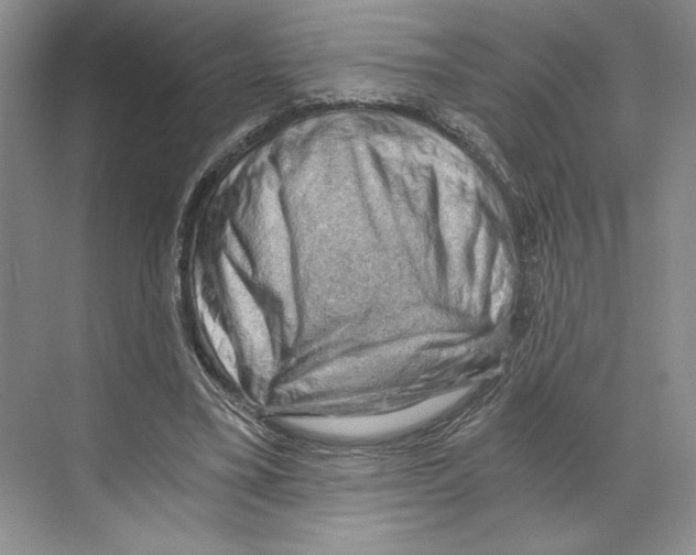 X0000068850395200606021740