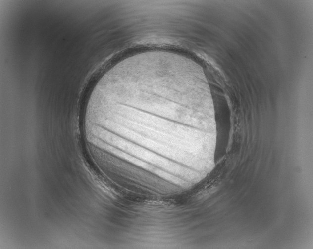 X0000068850399200606021740