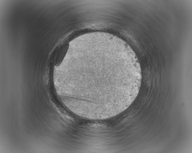 X0000068850400200606021740