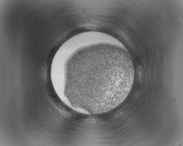 X0000068850404200606021740