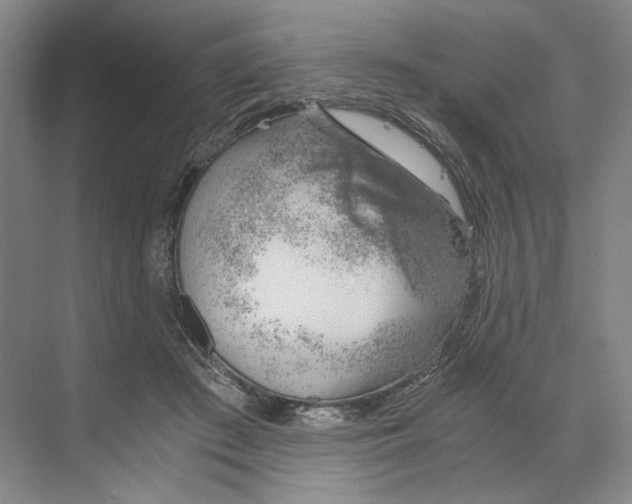 X0000068850409200606021740