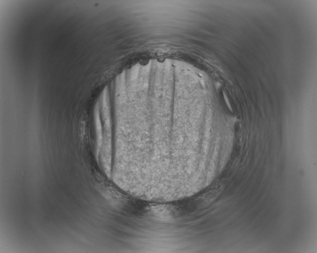 X0000068850417200606021740