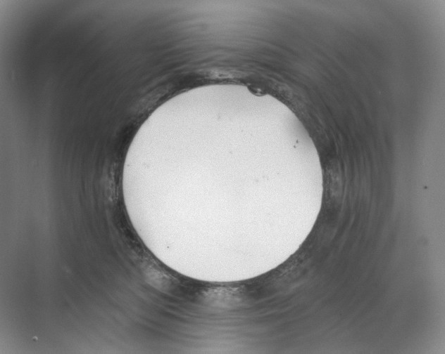 X0000068850422200606021740