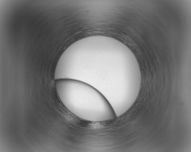 X0000068850425200606021740