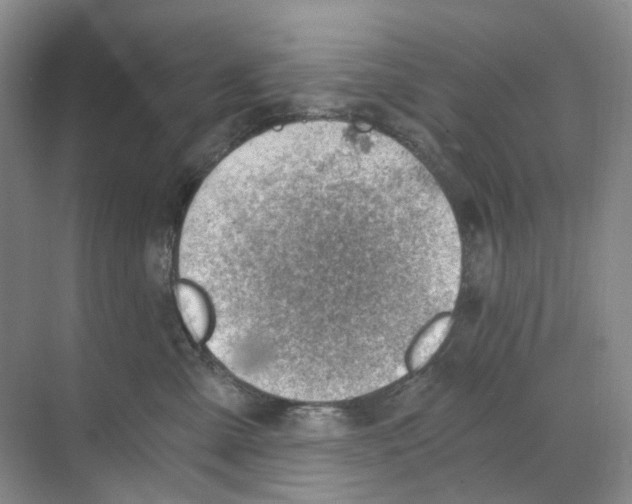 X0000068850427200606021740