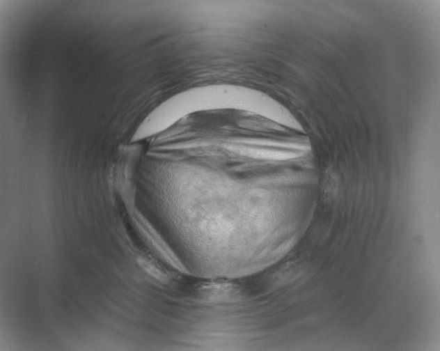 X0000068850428200606021739