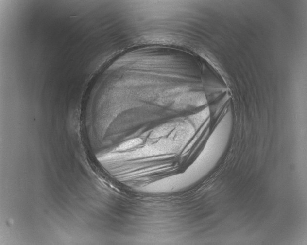 X0000068850434200606021739