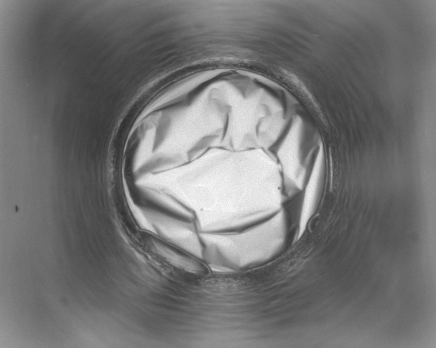 X0000068850435200606021739