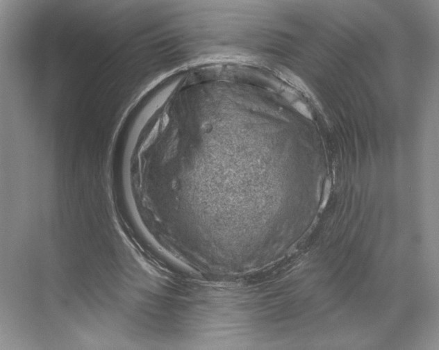 X0000068850436200606021739