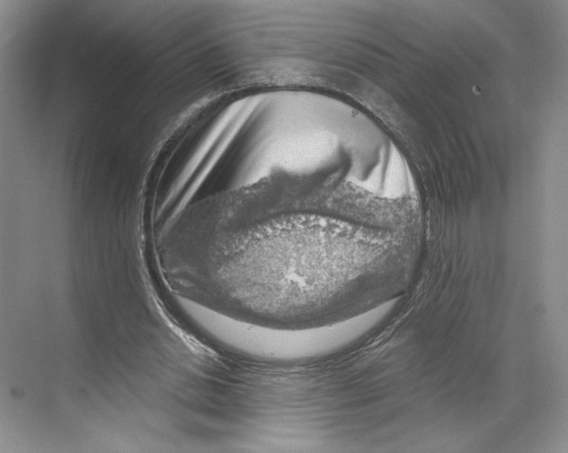 X0000068850438200606021739