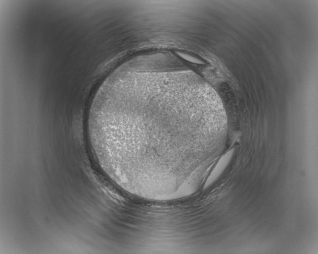 X0000068850442200606021739