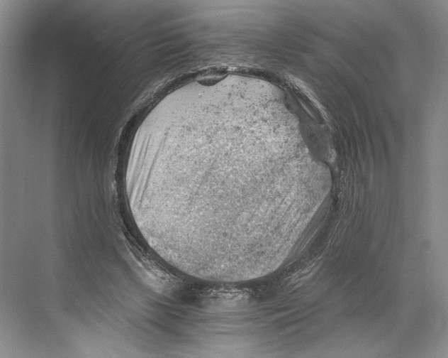 X0000068850443200606021739