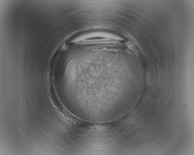 X0000068850444200606021739