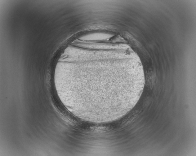 X0000068850448200606021739