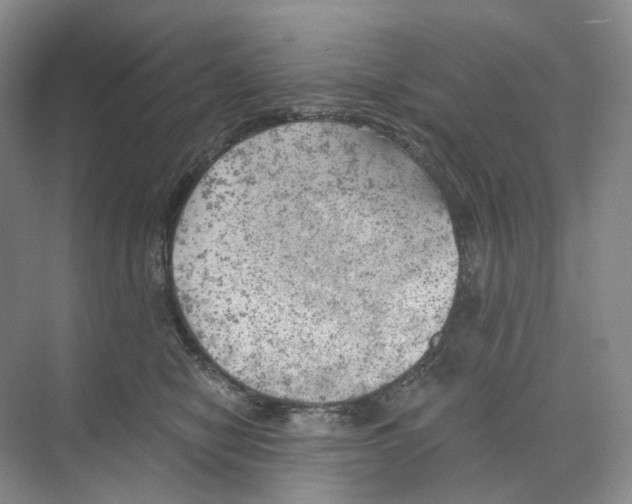 X0000068850470200606021739
