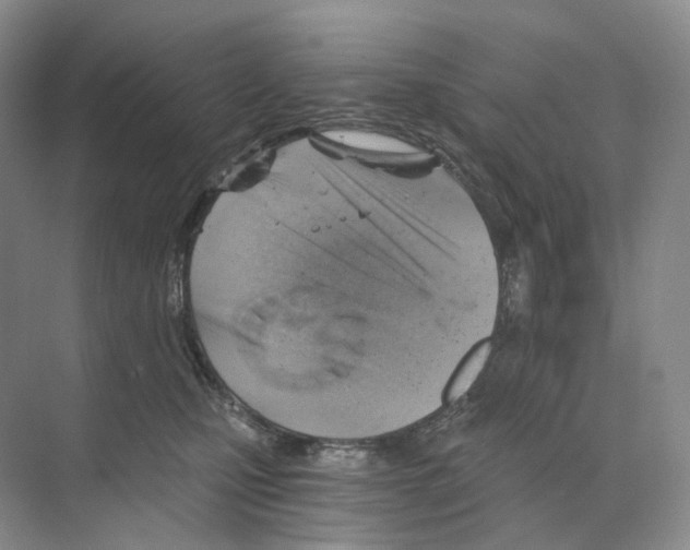 X0000068850471200606021739