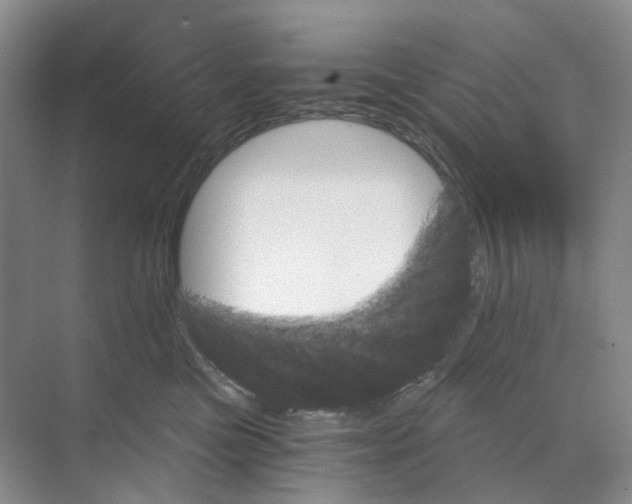 X0000068850473200606021739