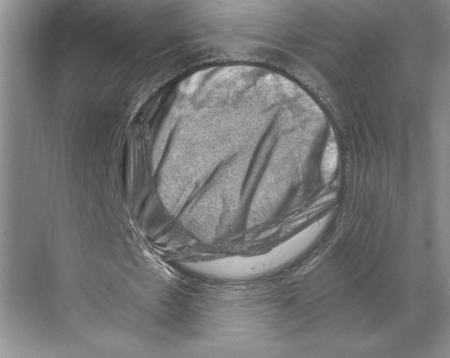 X0000068850481200606021739