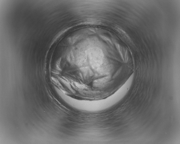 X0000068850484200606021739