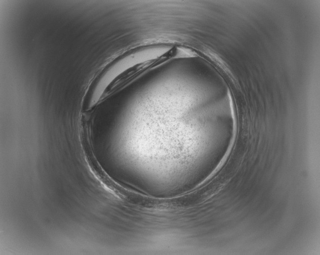 X0000068850485200606021739