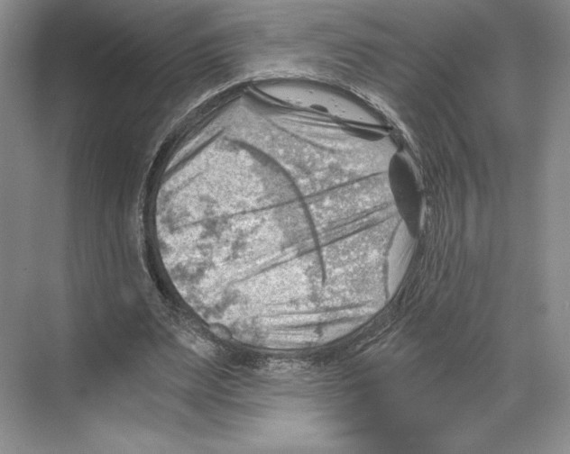X0000068850487200606021739
