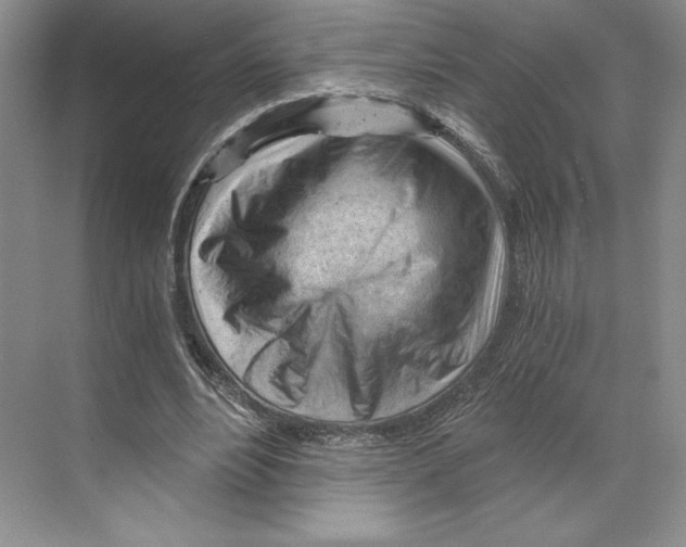 X0000068850488200606021738