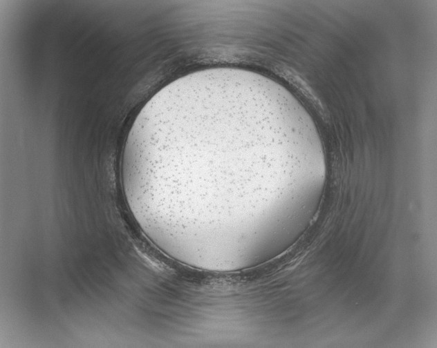 X0000068850489200606021738