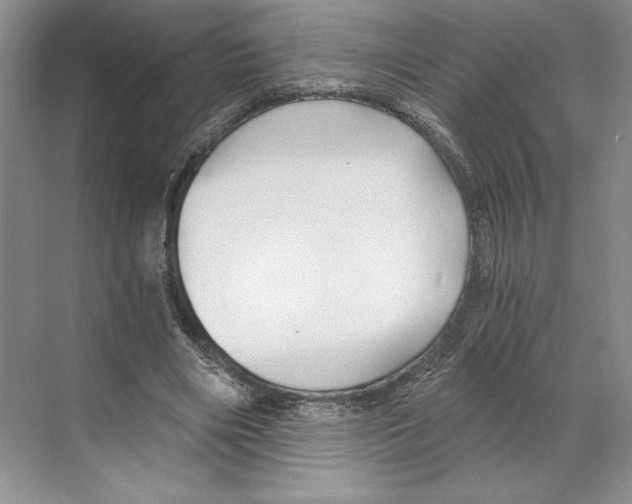X0000068850490200606021738
