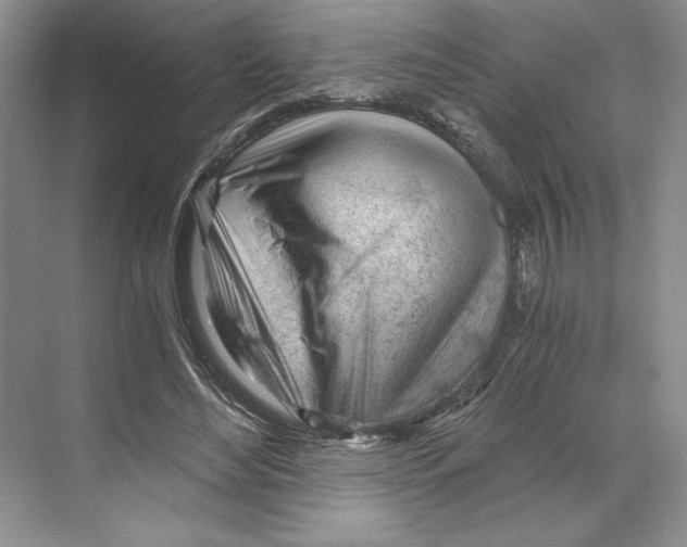 X0000068850492200606021738