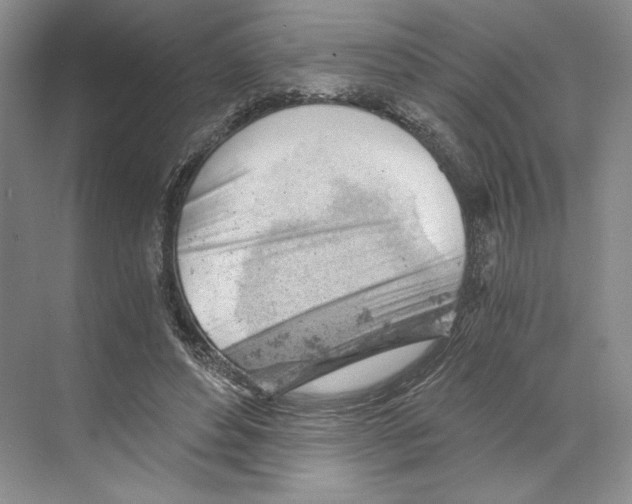 X0000068850496200606021738