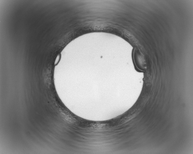 X0000068850497200606021738