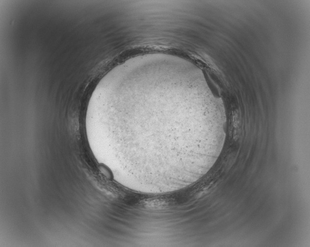 X0000068850500200606021738