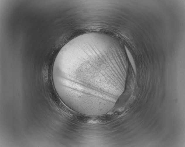 X0000068850504200606021738