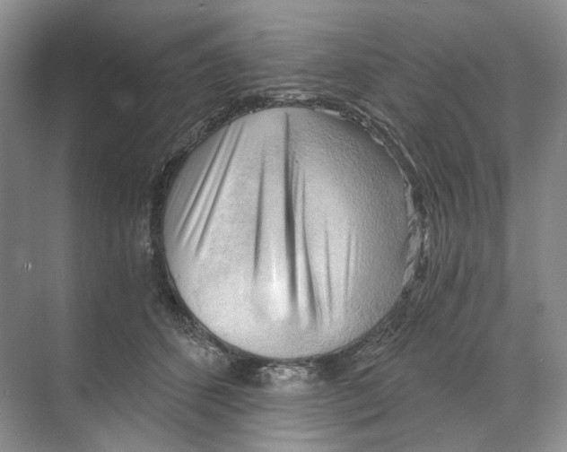 X0000068850512200606021738