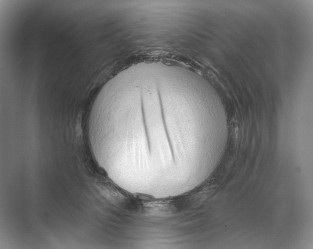 X0000068850516200606021738