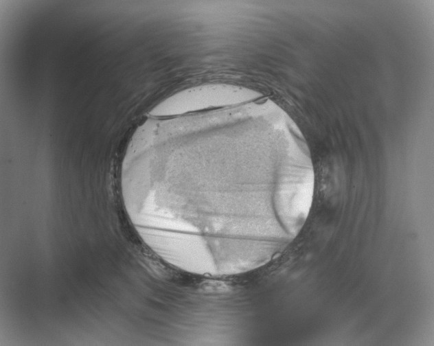 X0000068850519200606021738