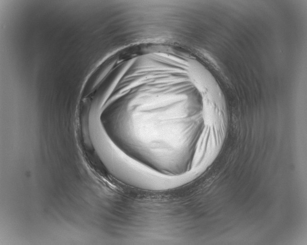 X0000068850532200606021737