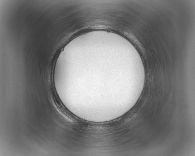 X0000068850533200606021737