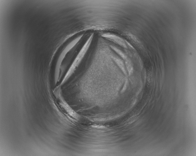 X0000068850540200606021737