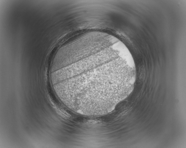 X0000068850542200606021737