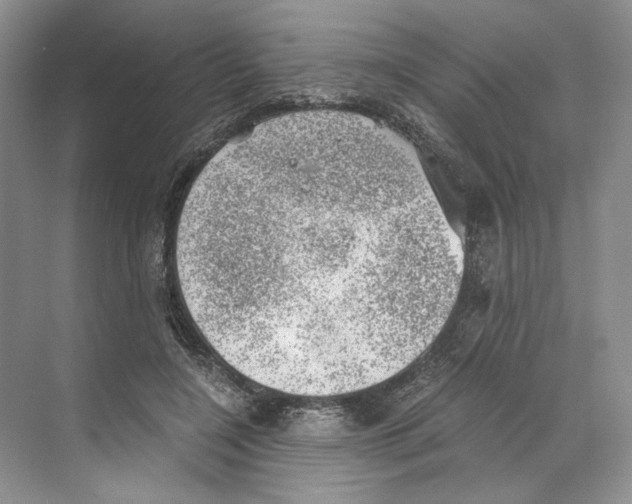 X0000068850548200606021737