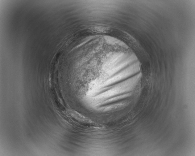 X0000068850552200606021737